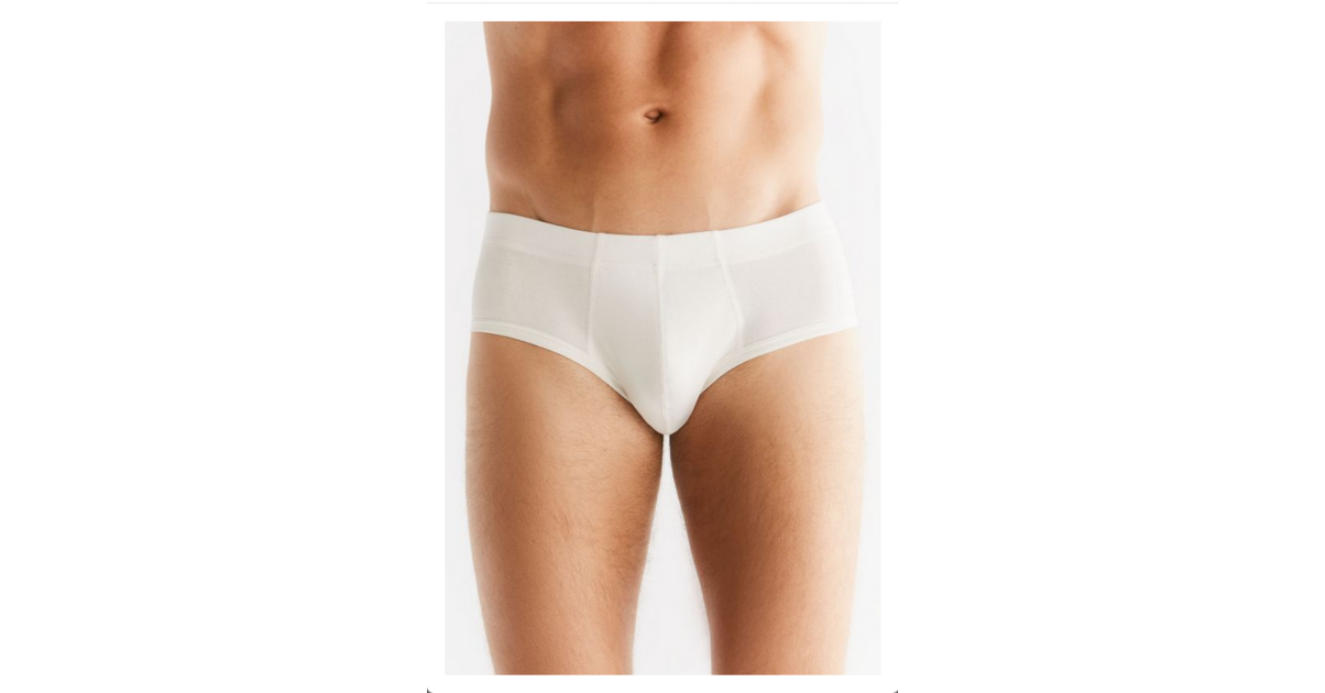 Slip homme coton biologique Boutique Homme ECOLINE